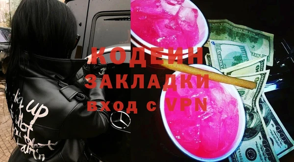 дживик Няндома